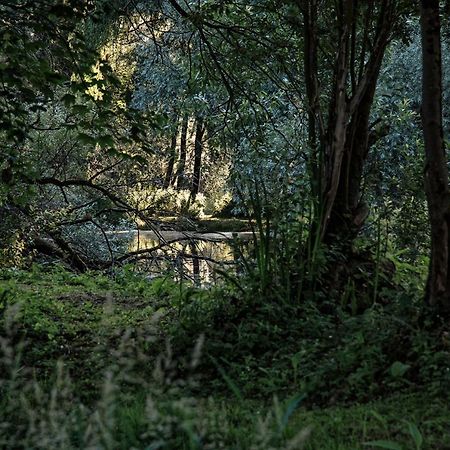 Les Cabanes Des Marais La Madelaine-sous-Montreuil Экстерьер фото